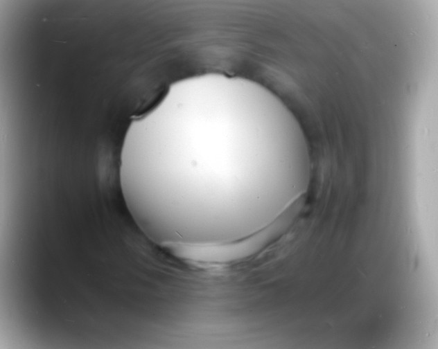 X0000088131058200706041315