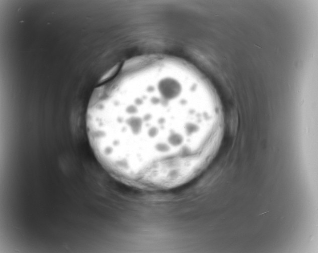 X0000088131059200706041315