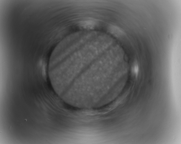 X0000088131060200706041315