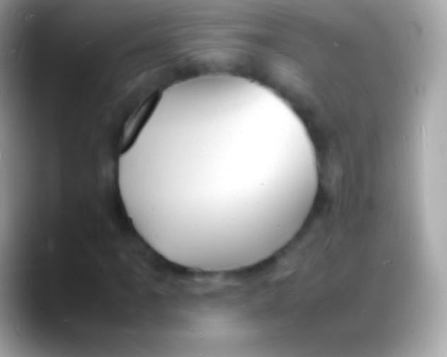 X0000088131061200706041315