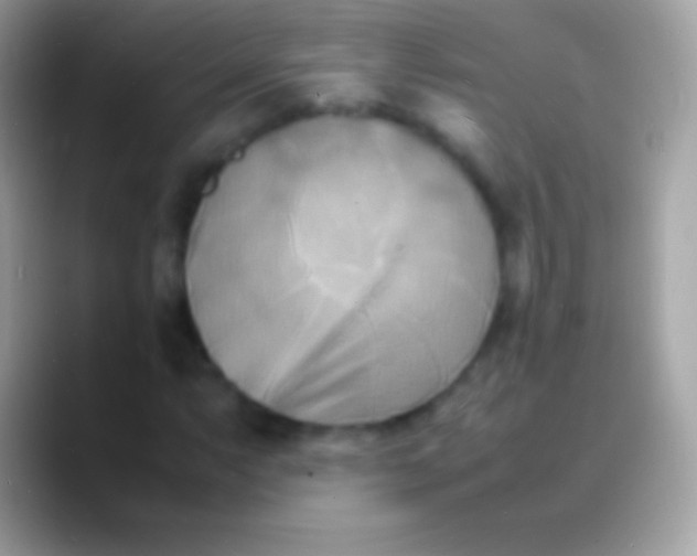 X0000088131063200706041315