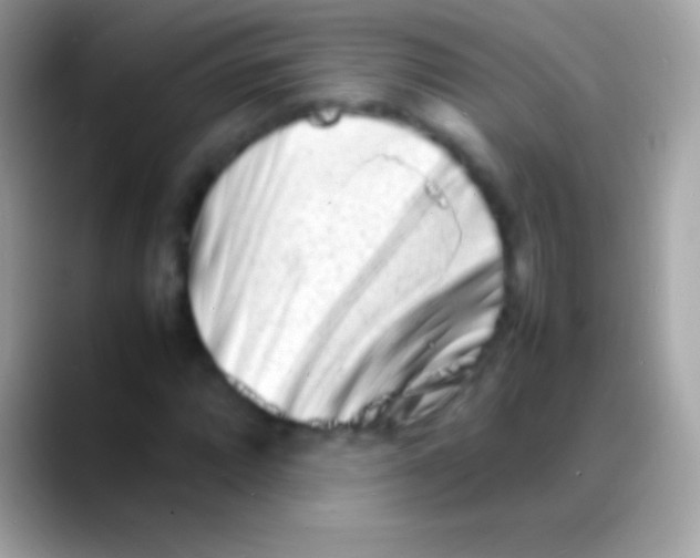 X0000088131064200706041315