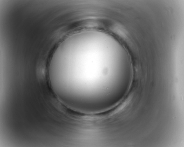 X0000088131065200706041315