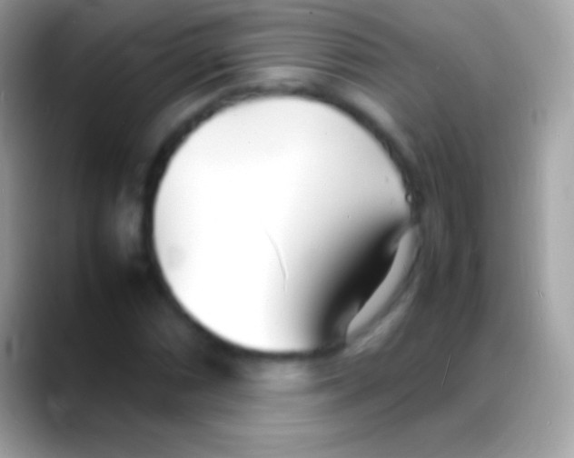 X0000088131066200706041315