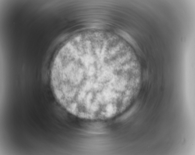 X0000088131067200706041315