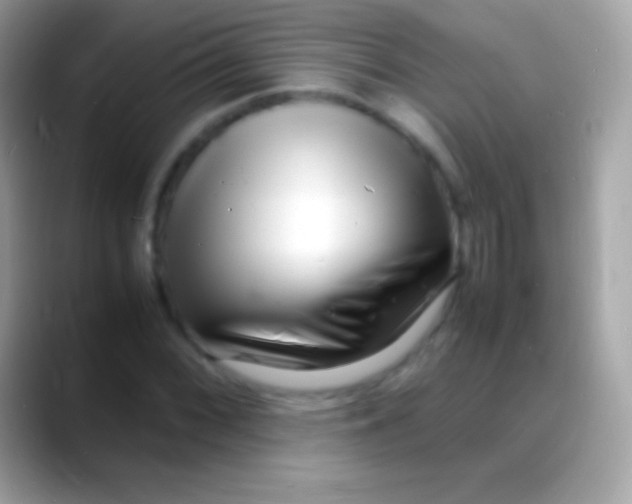 X0000088131068200706041315