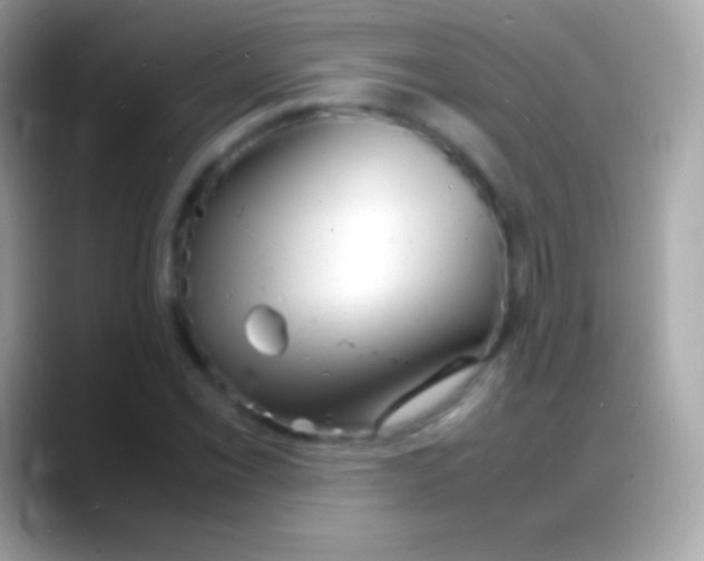 X0000088131069200706041315