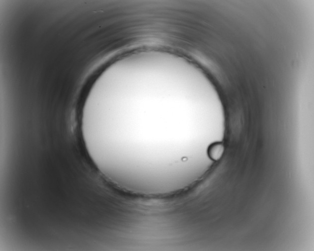 X0000088131070200706041315