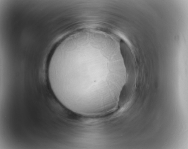 X0000088131071200706041315