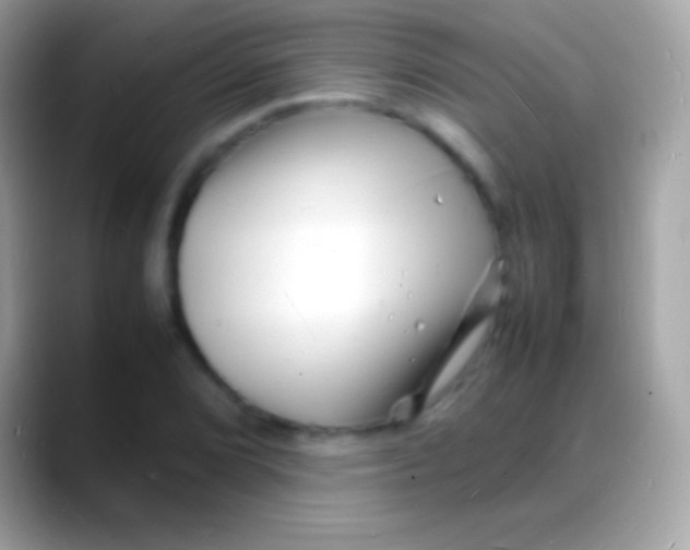 X0000088131072200706041315