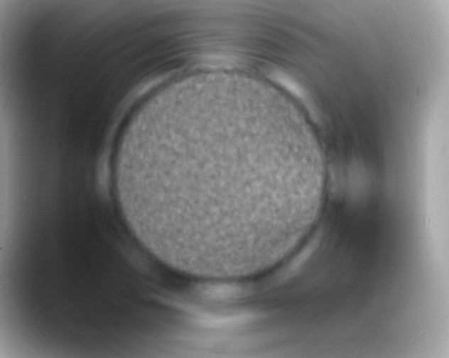 X0000088131074200706041315