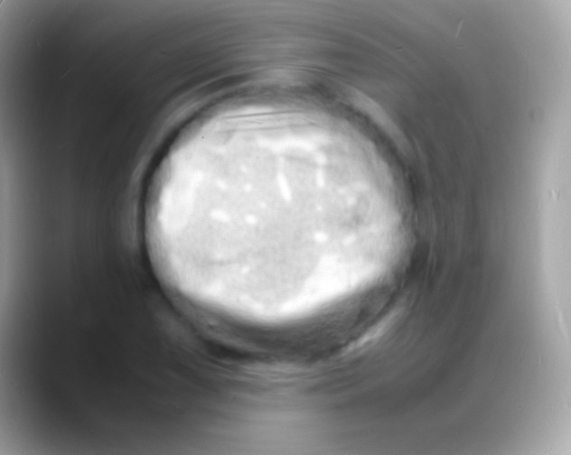 X0000088131075200706041315