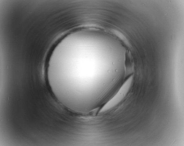 X0000088131076200706041315