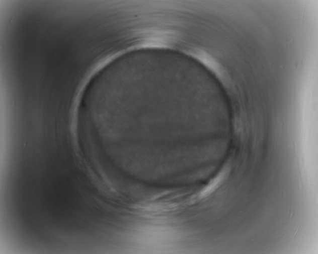 X0000088131077200706041315