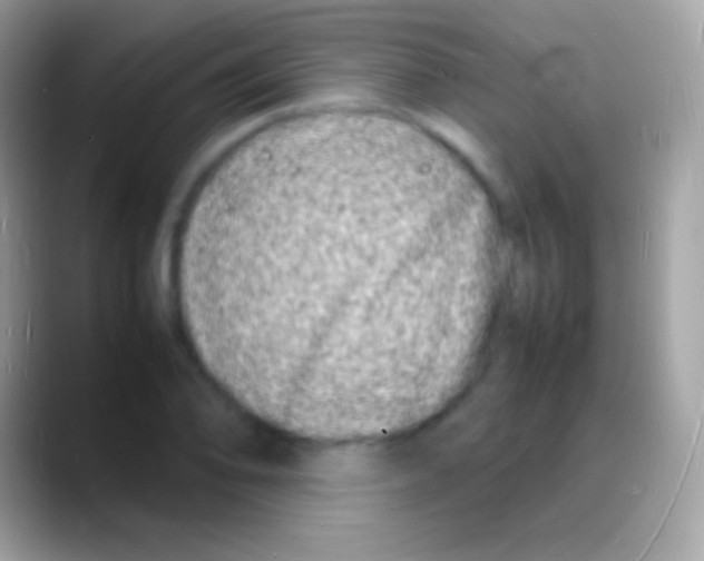 X0000088131078200706041315