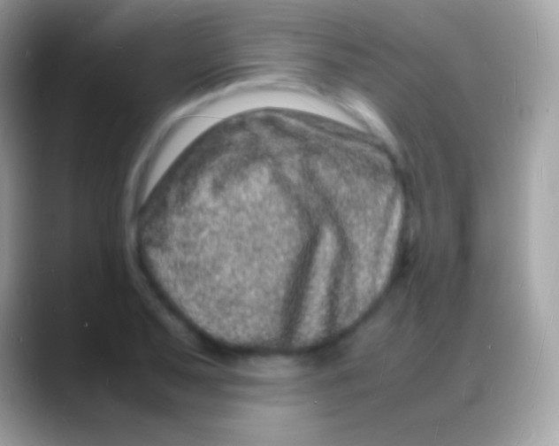 X0000088131079200706041315