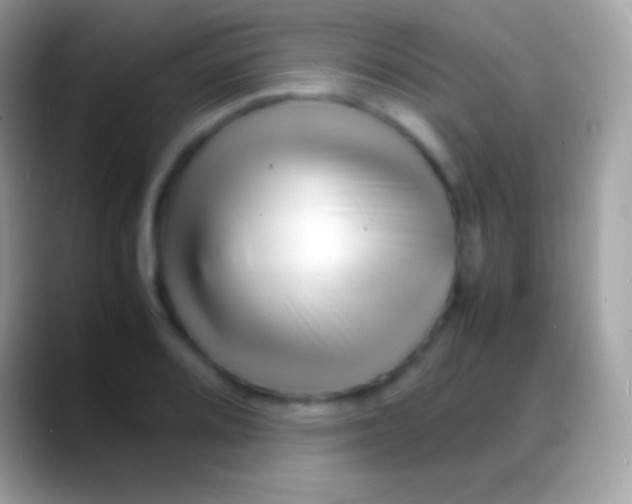 X0000088131080200706041314