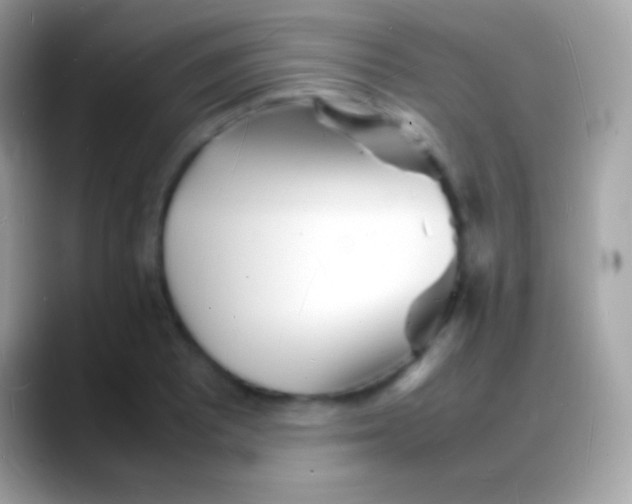 X0000088131081200706041314