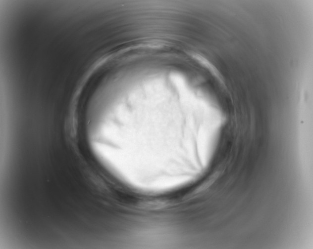 X0000088131083200706041314