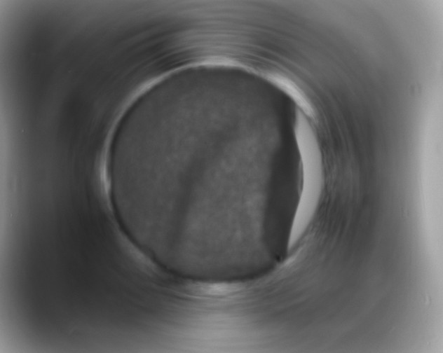 X0000088131084200706041314