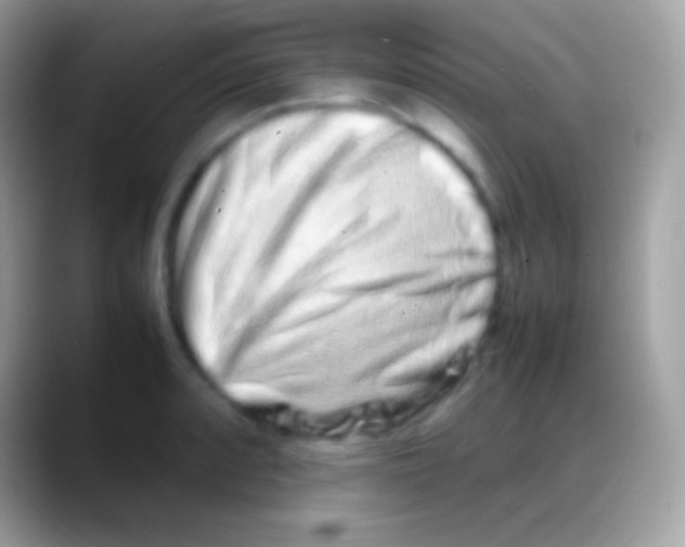 X0000088131088200706041314