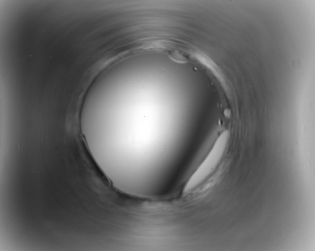 X0000088131089200706041314