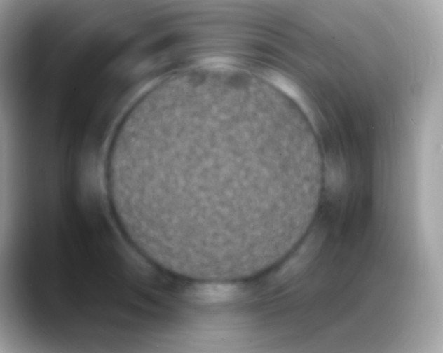 X0000088131090200706041314