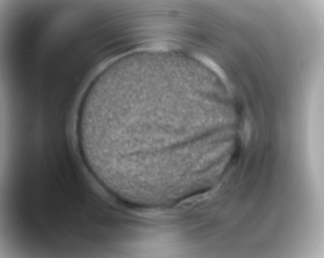 X0000088131091200706041314