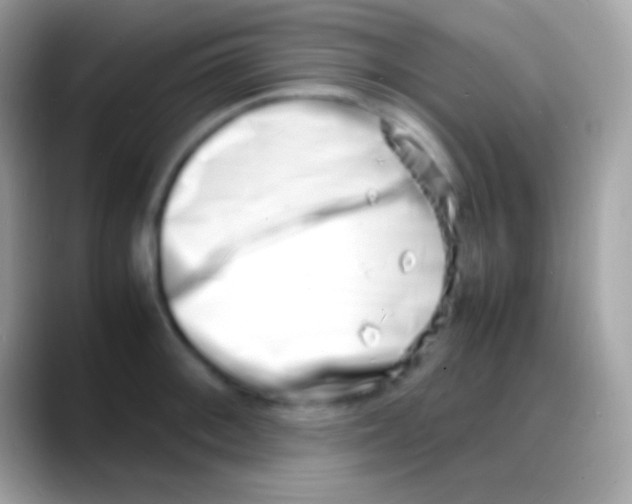 X0000088131092200706041314