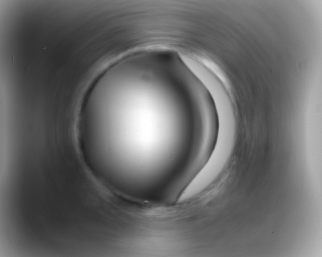 X0000088131093200706041314