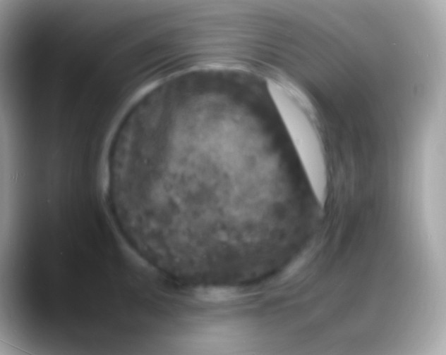 X0000088131095200706041314