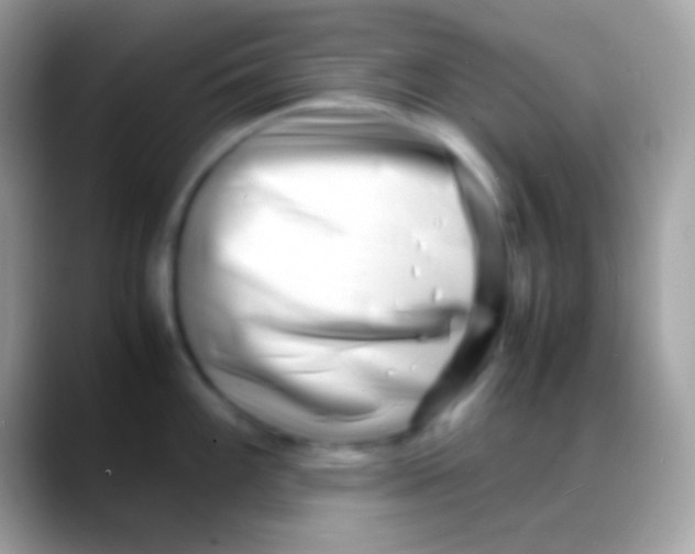 X0000088131100200706041314