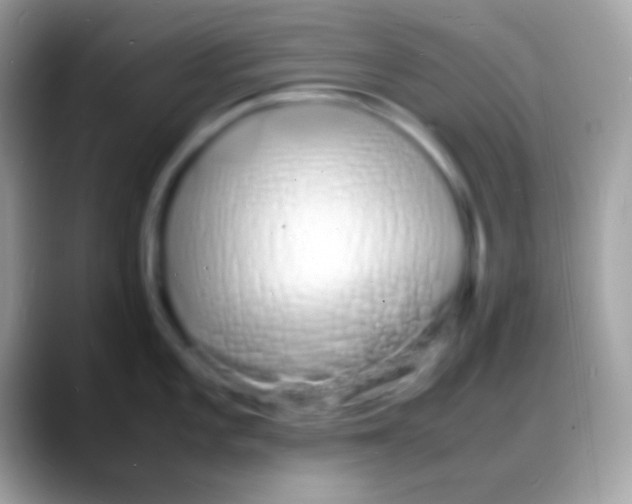 X0000088131101200706041314