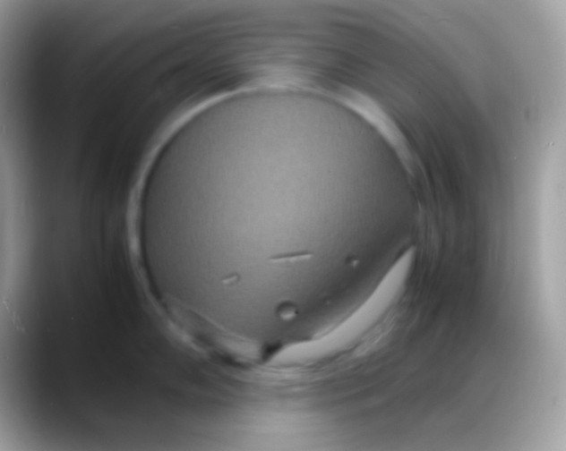 X0000088131102200706041314