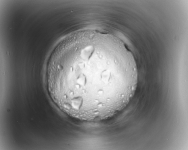 X0000088131103200706041314