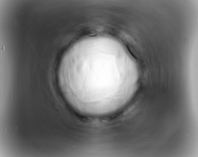 X0000088131105200706041314