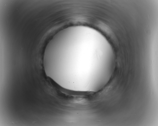 X0000088131112200706041314