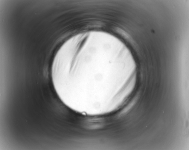 X0000088131113200706041314