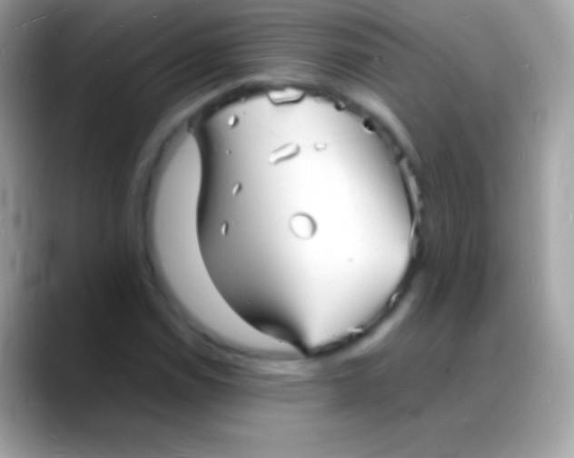 X0000088131114200706041314