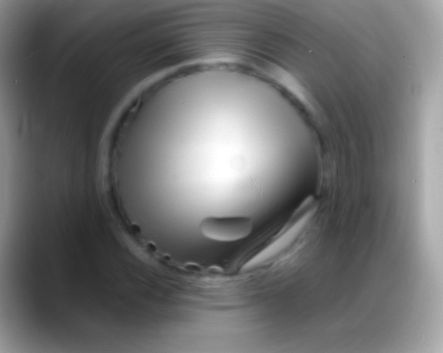 X0000088131116200706041314