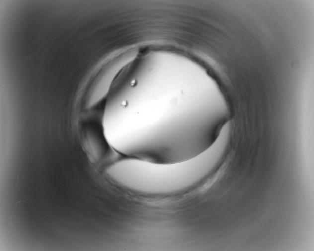 X0000088131118200706041314