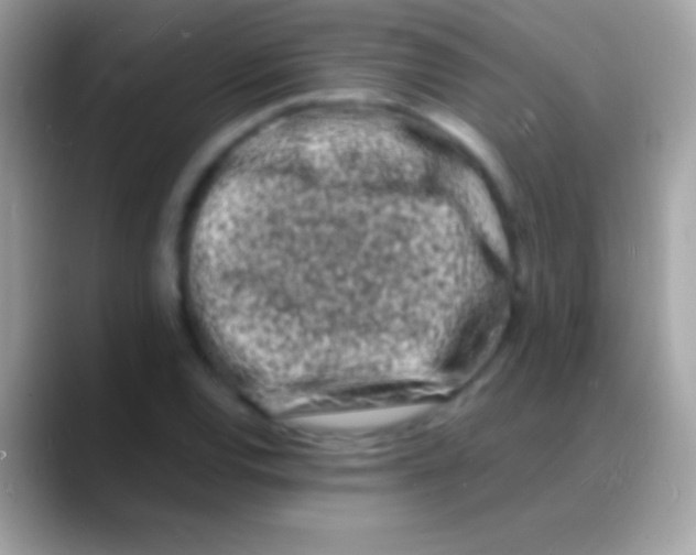 X0000088131120200706041314