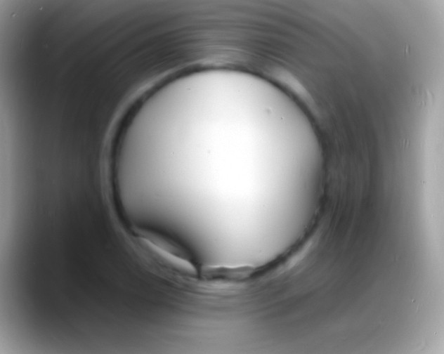 X0000088131122200706041314