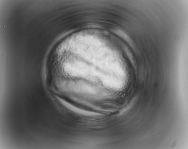 X0000088131125200706041314