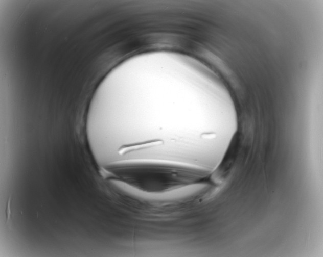 X0000088131129200706041314