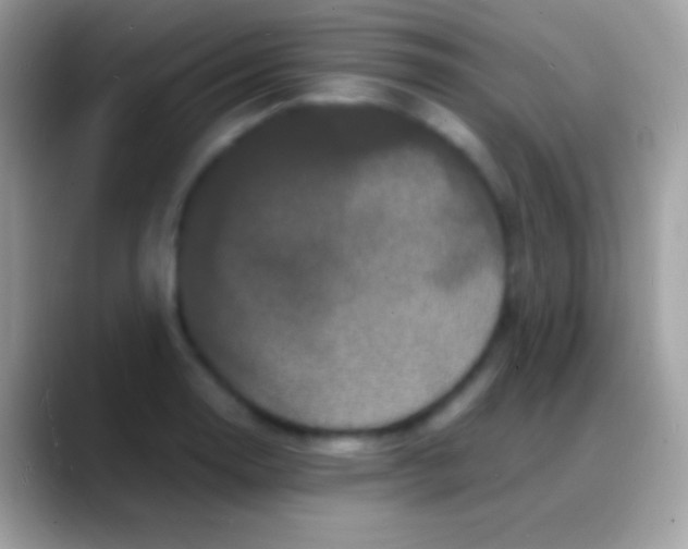 X0000088131130200706041314