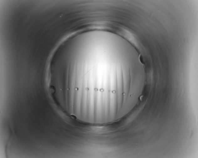 X0000088131132200706041314