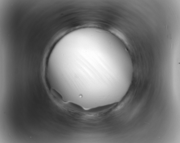 X0000088131135200706041314