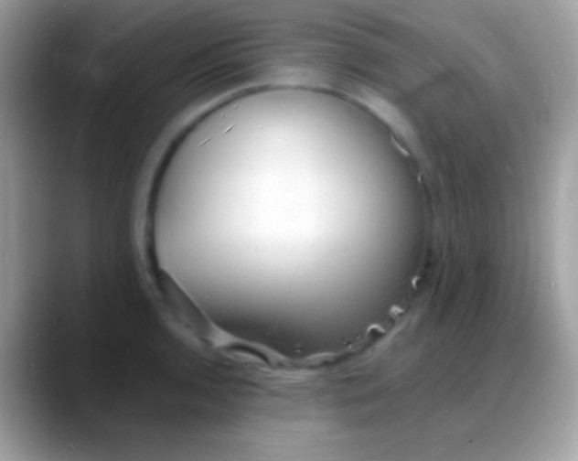 X0000088131136200706041314