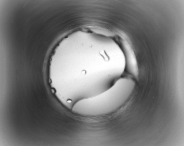 X0000088131138200706041314